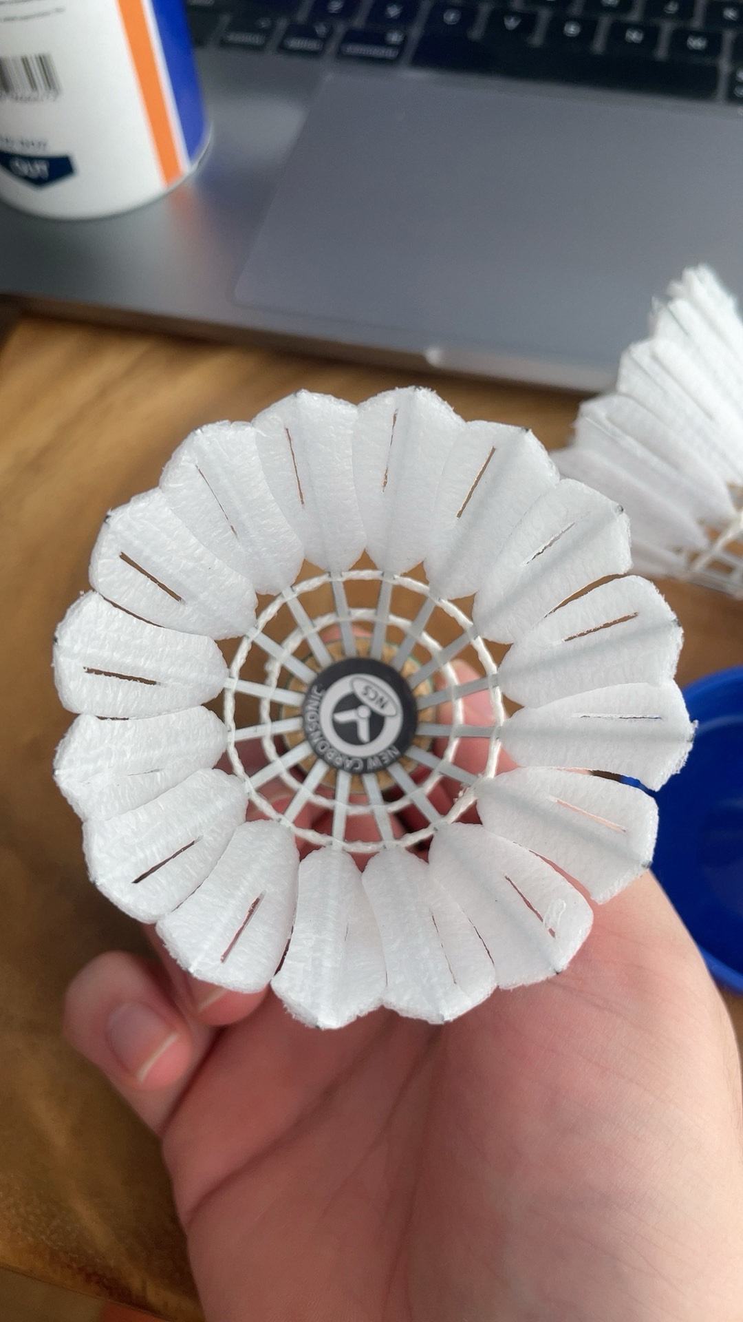 在这篇文章 在这篇文章